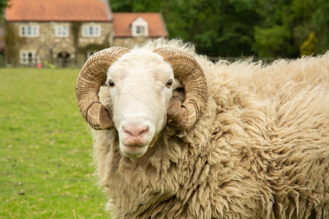 ピカリング Rawcliffe House Farmヴィラ エクステリア 写真
