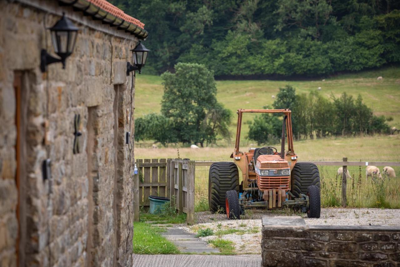 ピカリング Rawcliffe House Farmヴィラ エクステリア 写真