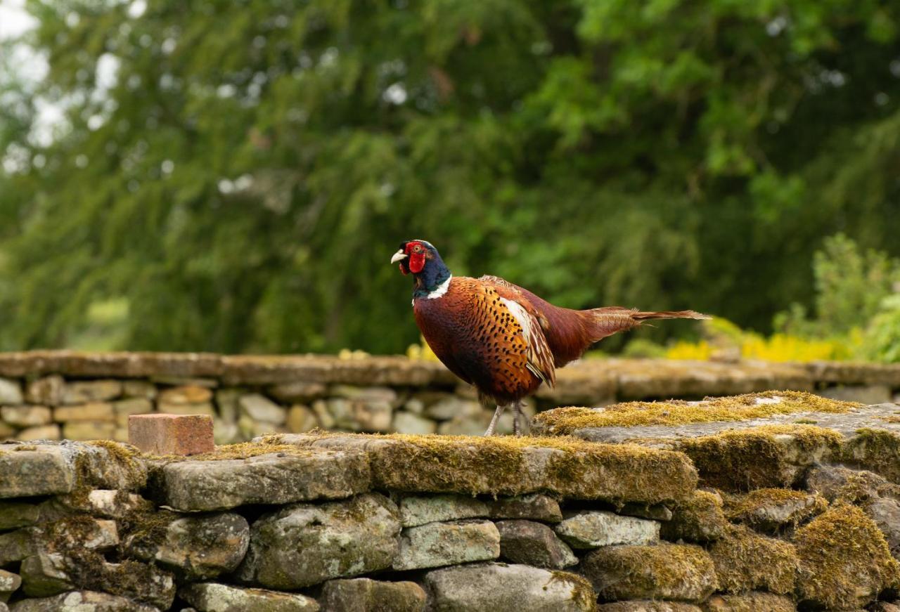 ピカリング Rawcliffe House Farmヴィラ エクステリア 写真