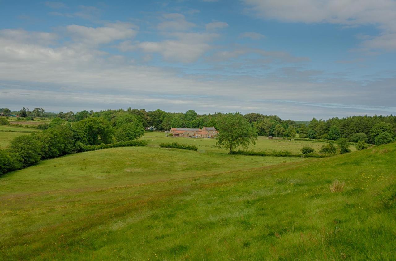 ピカリング Rawcliffe House Farmヴィラ エクステリア 写真