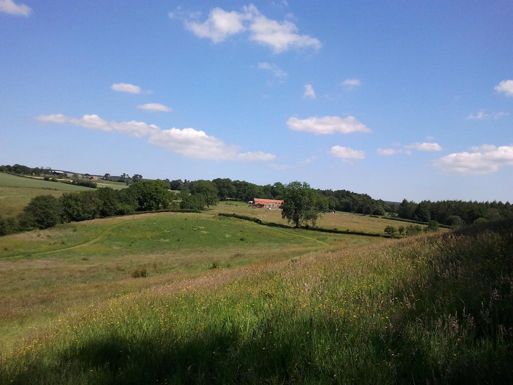 ピカリング Rawcliffe House Farmヴィラ エクステリア 写真
