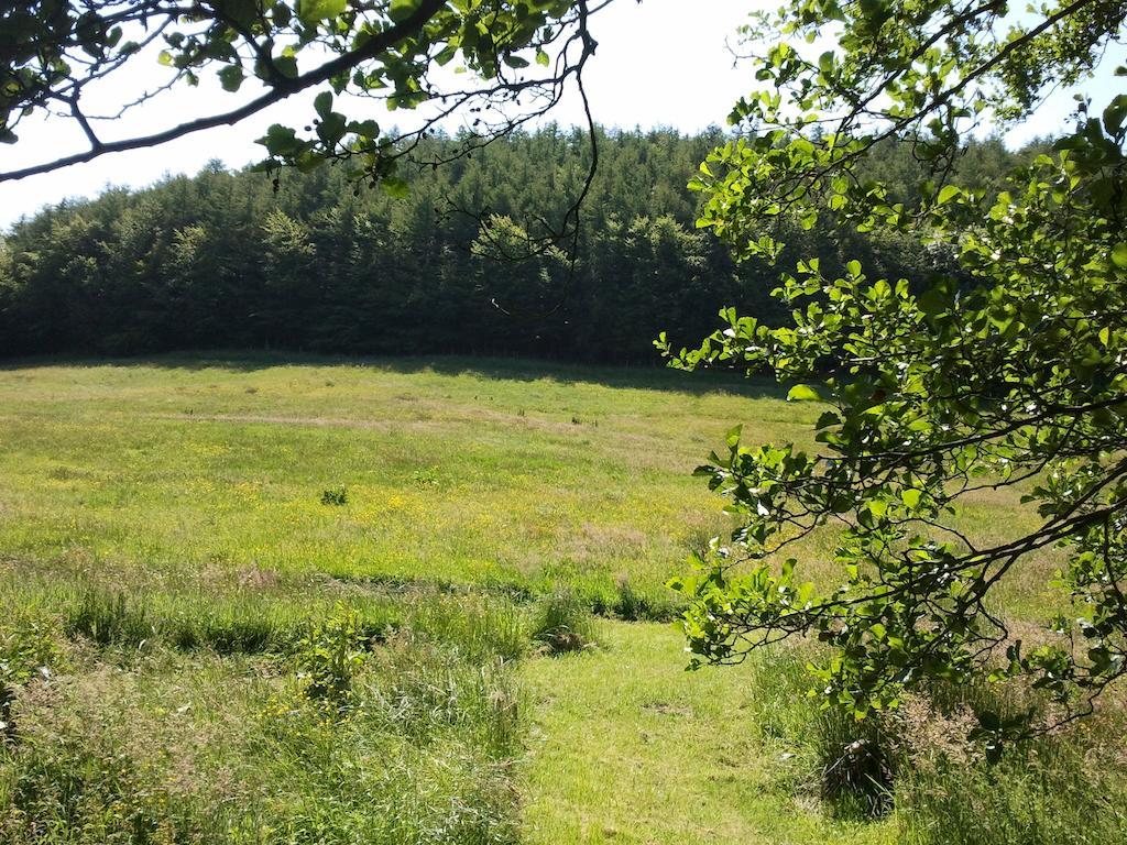 ピカリング Rawcliffe House Farmヴィラ エクステリア 写真