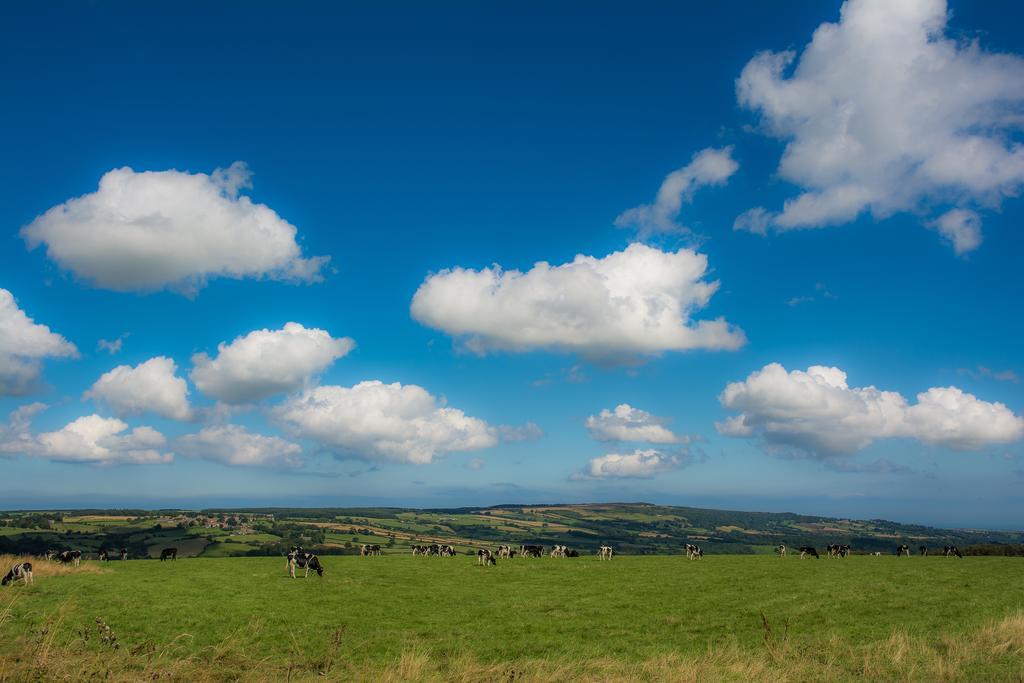 ピカリング Rawcliffe House Farmヴィラ エクステリア 写真
